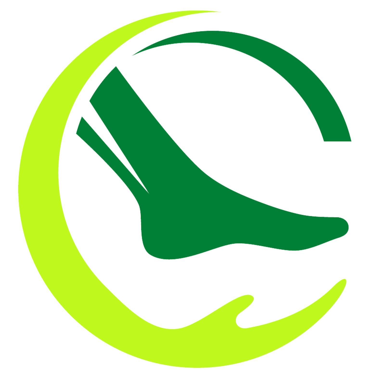 Ortopedia Di Stefano