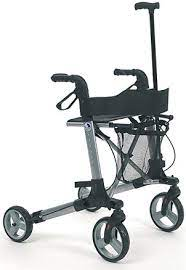 ROLLATOR CON SCHIENALE